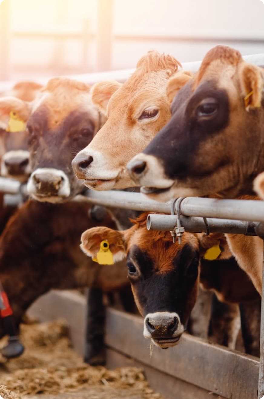 La Ventilación para Bodegas más Rentable en todo México